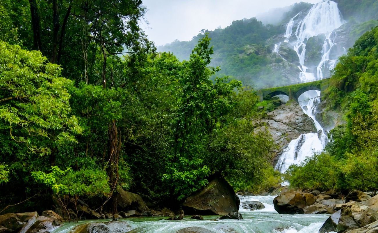 Dudhsagar Waterfall Trek with Stay Package