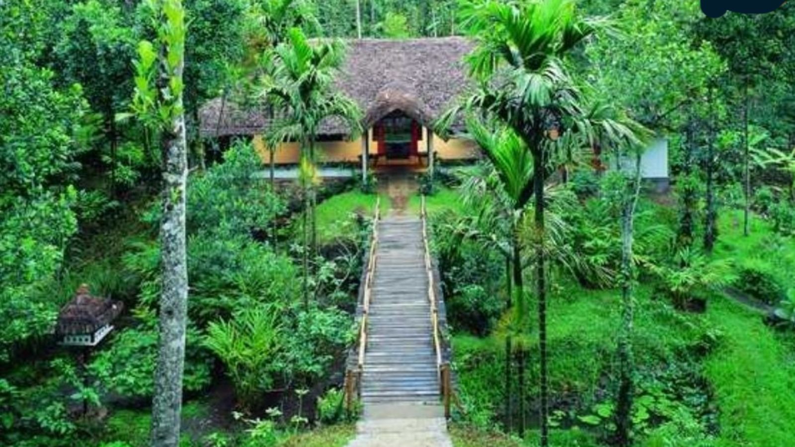 Goa Spice Plantation