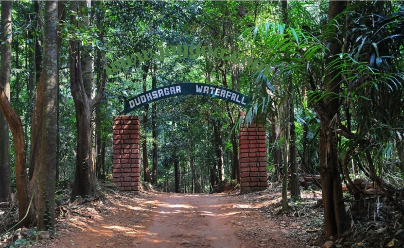 Dudhsagar Waterfall Goa – Current Status, Entry Fee, Timings & Trekking